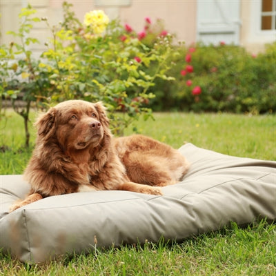 Zolux Dog Cushion 4 Seasons Water-Repellent Polyester Rectangular Khaki 91X60X23 Cm