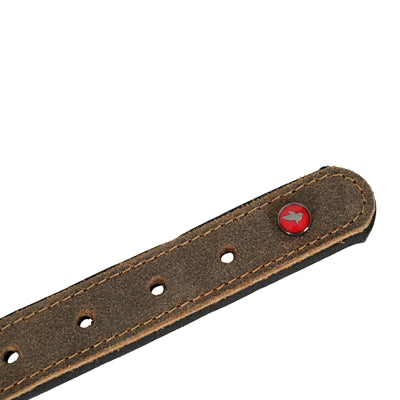Zolux Expert Collar Dog Premium Leather / Neoprene Brown