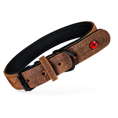Zolux Expert Collar Dog Premium Leather / Neoprene Brown