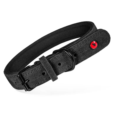 Zolux Expert Collar Dog Premium Leather / Neoprene Black