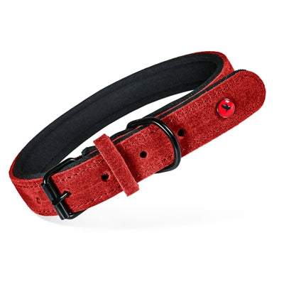 Zolux Expert Collar Dog Premium Leather / Neoprene Red