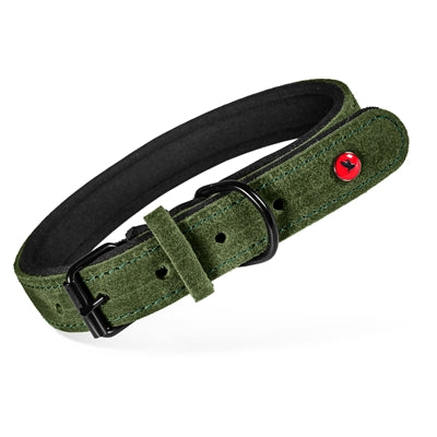 Zolux Expert Collar Dog Premium Leather / Neoprene Green