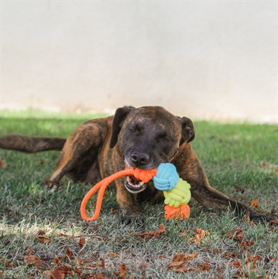 Zolux Floss Rope Twist With 3 Rope Balls Multicolored 43X7X7 Cm