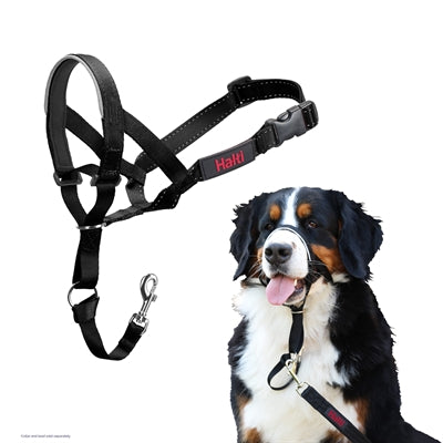 The Company Of Animals Company Of Animals Halti Headcollar Black