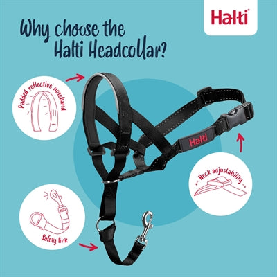 The Company Of Animals Company Of Animals Halti Headcollar Black