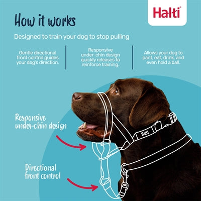 The Company Of Animals Company Of Animals Halti Headcollar Black