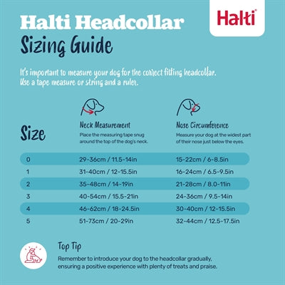 The Company Of Animals Company Of Animals Halti Headcollar Black