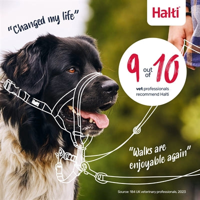 The Company Of Animals Company Of Animals Halti Headcollar Black