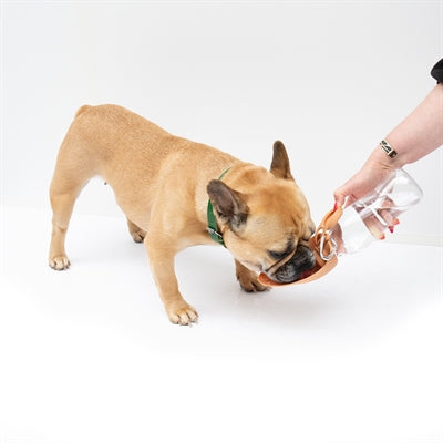 Martin Water Bottle With Silicone Bowl Orange 500 M L