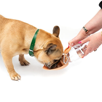 Martin Water Bottle With Silicone Bowl Orange 500 M L